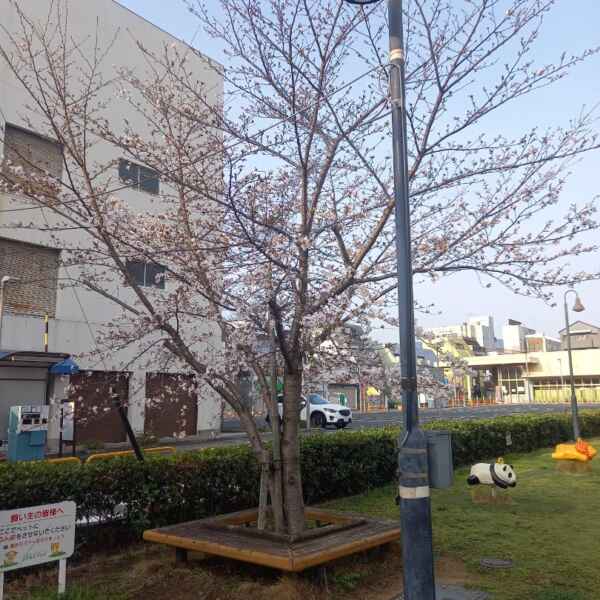 ４月が始まりました！！！