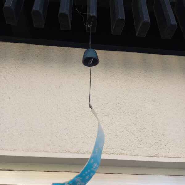 ７月があっという間に半分過ぎました！！