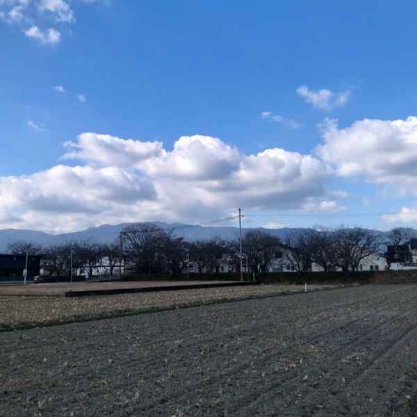 もう2月に入ってしもた！