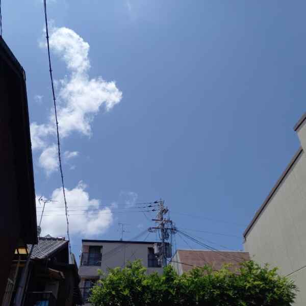 がん検診 受診してきました。
