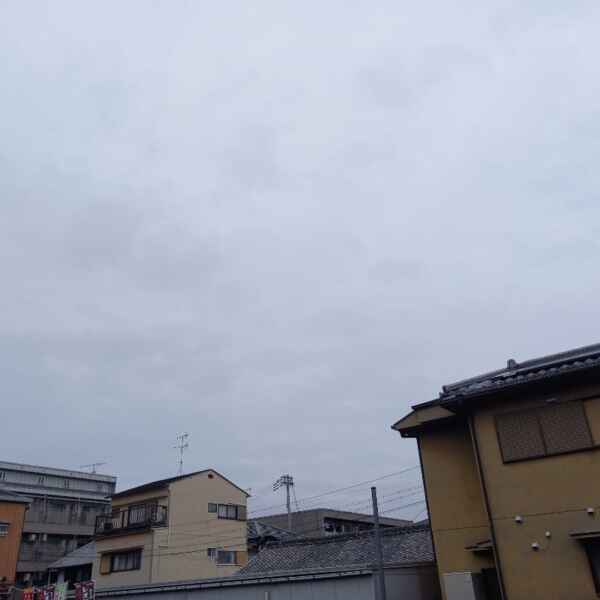 ２月最後の水曜日・・・！