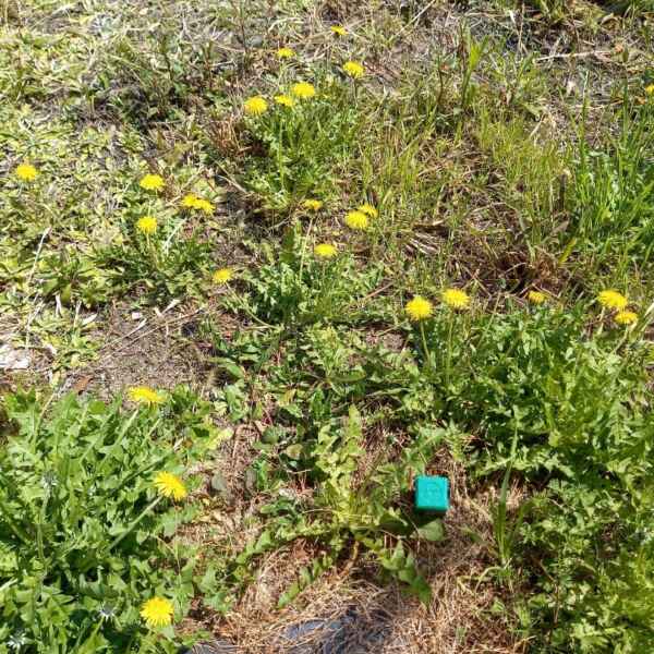 ３月最後の水曜日・・・！