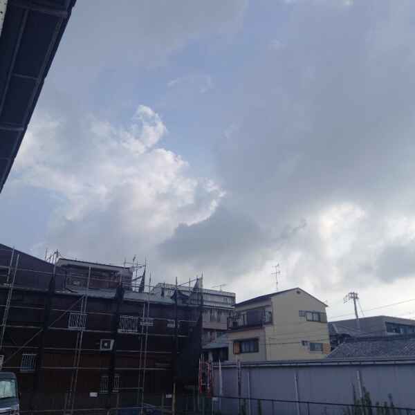 ７月最後の水曜日になりました・・：！！