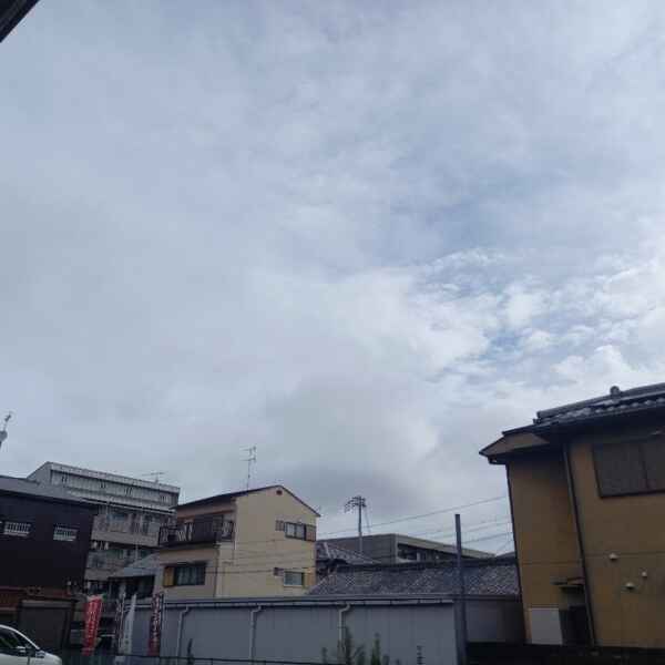 "がん検診" の日程が近づいてきました・・・！