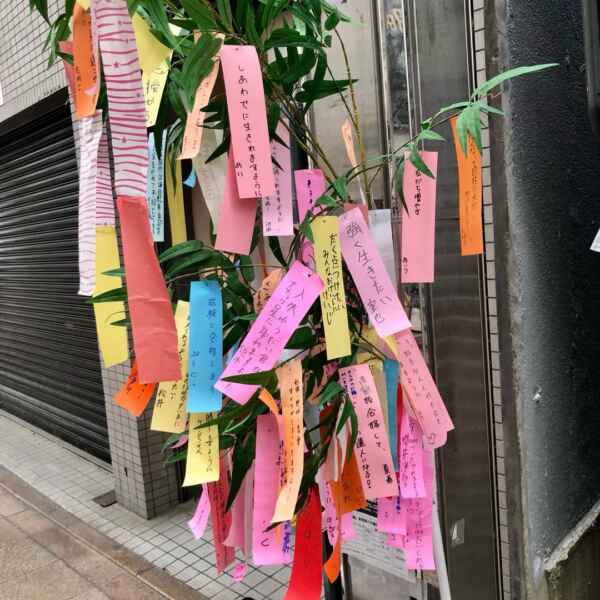 笹の葉さらさら♪願い事多し